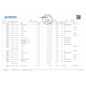工资明细账单_企业对公账户流水_网银流水_银行制作打印